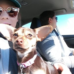 Meet your Posher, Kelly